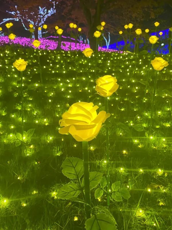 Visited the Sagamiko Light Show!!