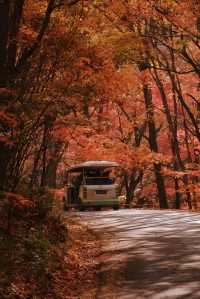 本溪關門山：秋韻華章，紅葉盛境