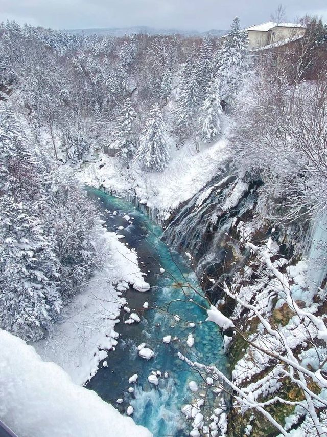 北海道的雪都是自帶浪漫屬性 ❄️