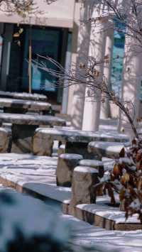 你是否想在安吉天池滑雪體驗不一樣的滑雪之旅?