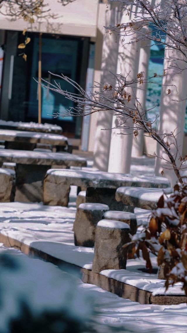 你是否想在安吉天池滑雪體驗不一樣的滑雪之旅? 你是否想在安吉天池滑雪體驗不一樣的滑雪之旅?