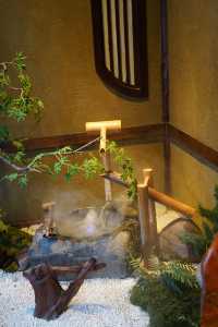 京都庭院，到處都瀰漫著聖誕約會氣息