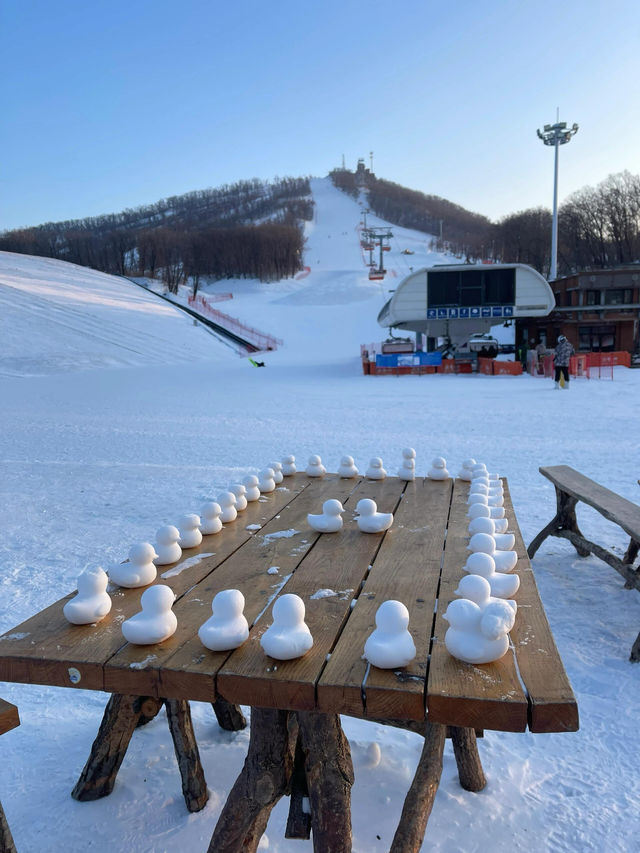 長春廟香山雪場，不愧奧地利小廟的稱號。