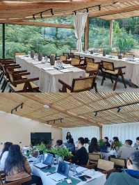 碧峰峡山野私湯民宿團建 | 暮雲春樹