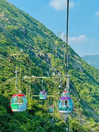 Experience the Romance of Hong Kong's Ocean Park