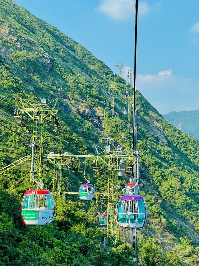 Experience the Romance of Hong Kong's Ocean Park