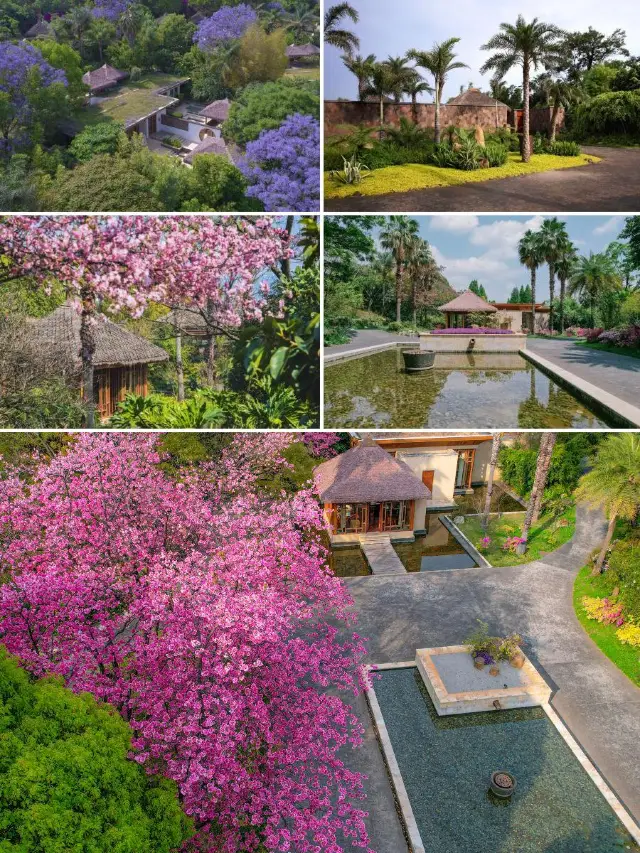 Hidden Luxury Villa Party at Bolian Resort & Spa, Kunming