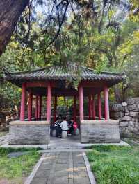 青州古城景點:偶園