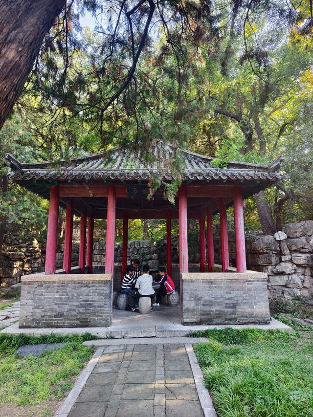 青州古城景點:偶園 青州古城景點:偶園