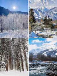 北海道太擠？長野的雪景美哭你！