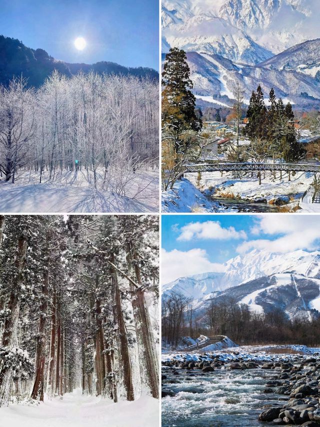 北海道太擠？長野的雪景美哭你！
