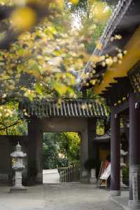 桂林冬日旅行推薦，這座低調的古風公園應該有姓名