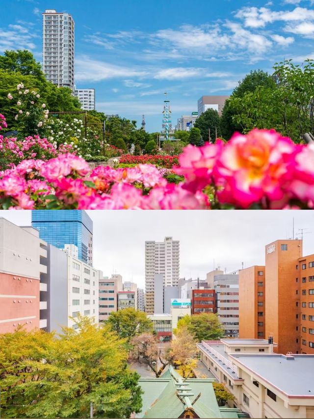 札幌大通公園景觀酒店