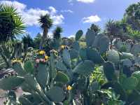 Discover the Hidden Gem of Auckland: The Botanic Gardens