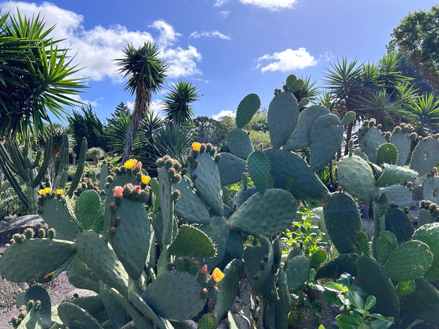 Discover the Hidden Gem of Auckland: The Botanic Gardens
