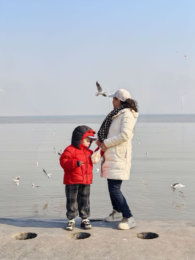 自駕天津東疆親海公園，帶娃看海鷗