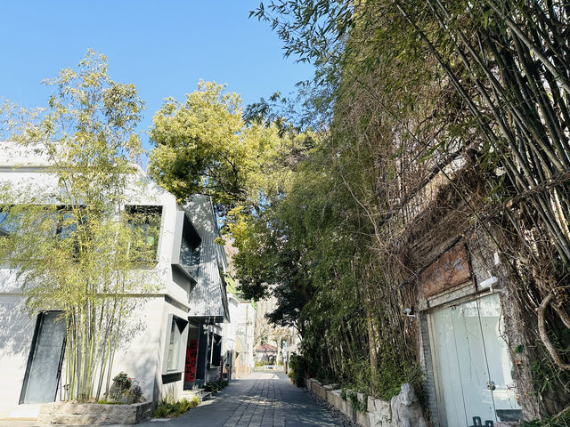 百年新華路 百年新華路