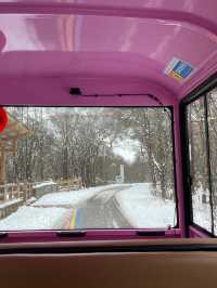 春節的海螺溝雪山溫泉之旅｜兩天一夜