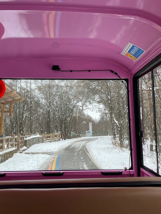 春節的海螺溝雪山溫泉之旅｜兩天一夜
