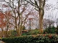 迎春本地遊｜市中心難得的大片綠地——人民公園