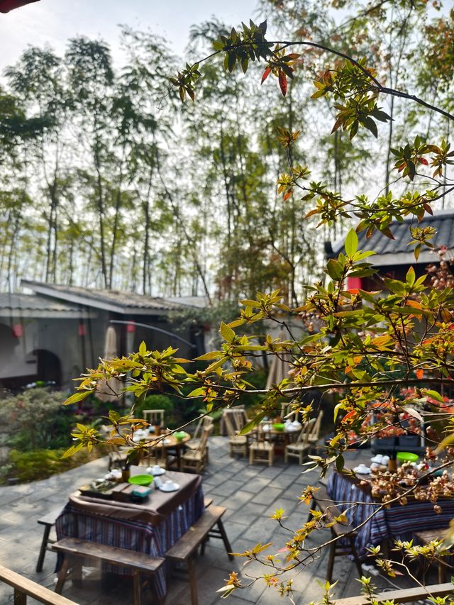 《恭城秋日漫記：柿紅與茶香織就的慢時光》