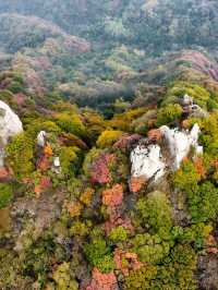 廬山2日遊｜超全攻略 不踩雷