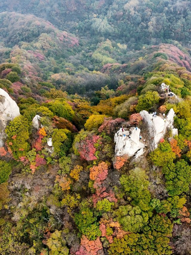 廬山2日遊｜超全攻略 不踩雷