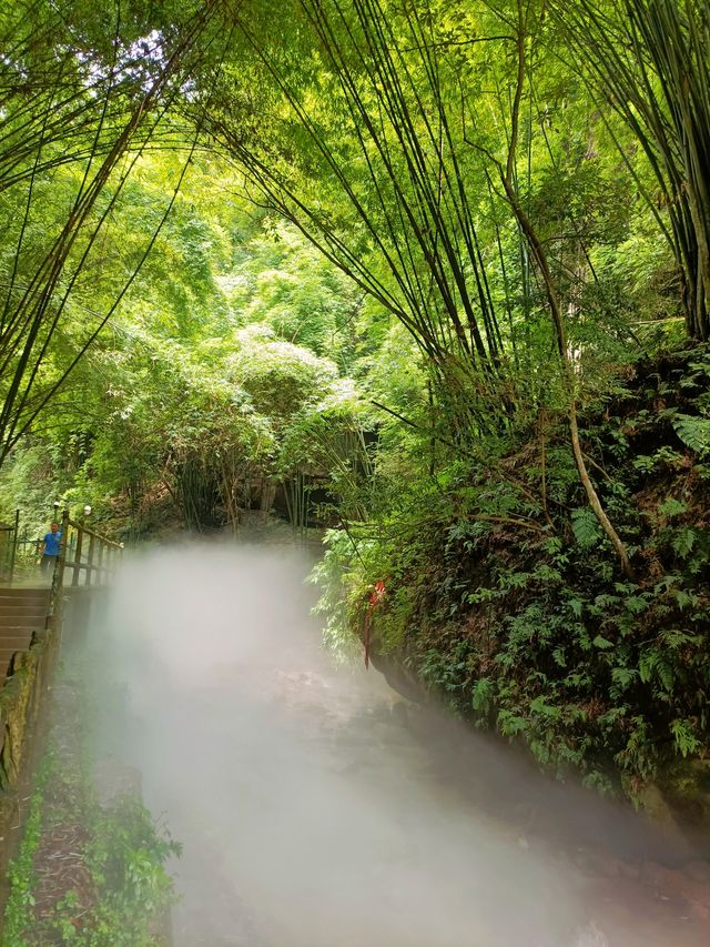 川西竹海，夢幻般的人間仙境
