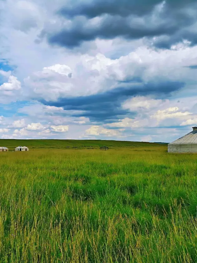 4-Day Tour of Hohhot, Inner Mongolia, and Other Popular Attractions
