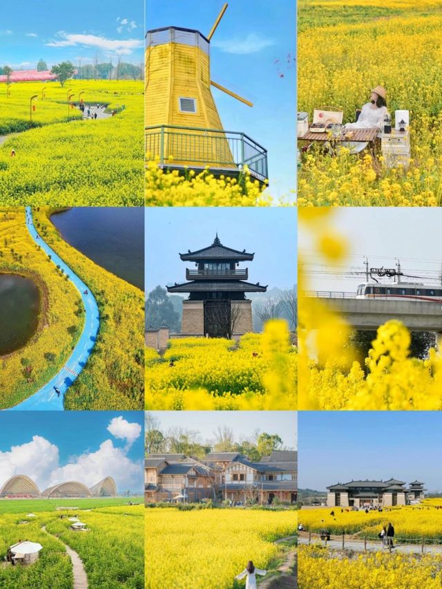成都油菜花海的春日之旅：13個絕美打卡地點推薦