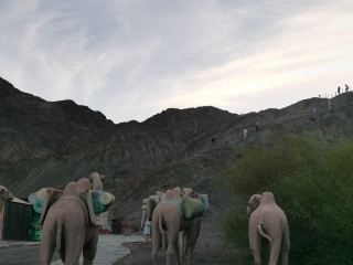 青甘線上嘉峪關，不爬長城，是否要放棄掉