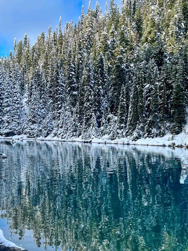 Whta an adventurous day at Garibaldi Lake❤️