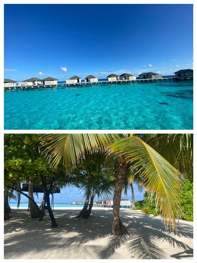 發現寶藏旅行地！呼拉島，你的夢幻避世桃源