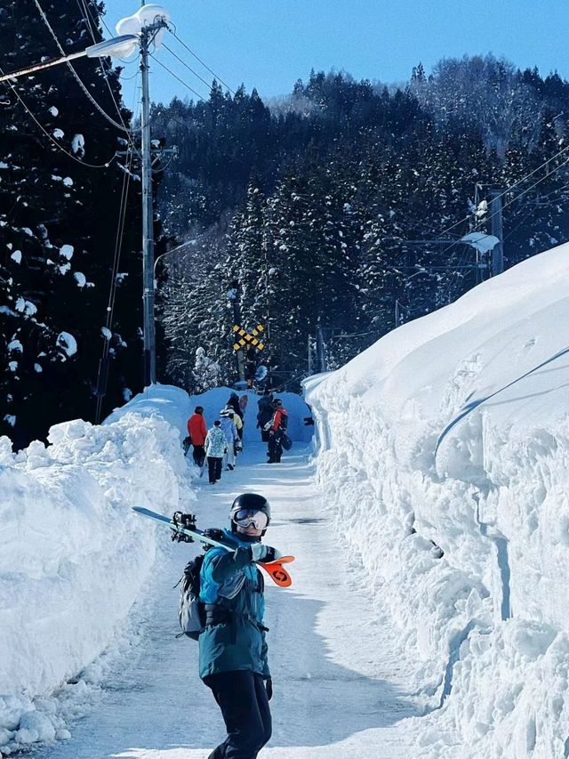 Sanosaka Hakuba Snow Resort is Stunning🥰