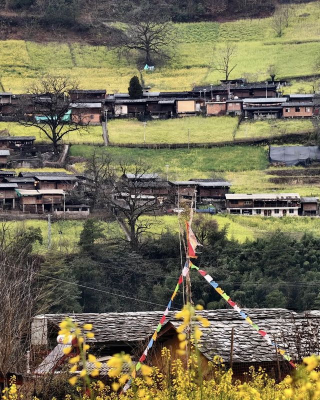 貢山一日遊