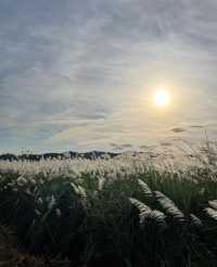 99%長沙人都不知道的挽洲島，冬日露營超正！