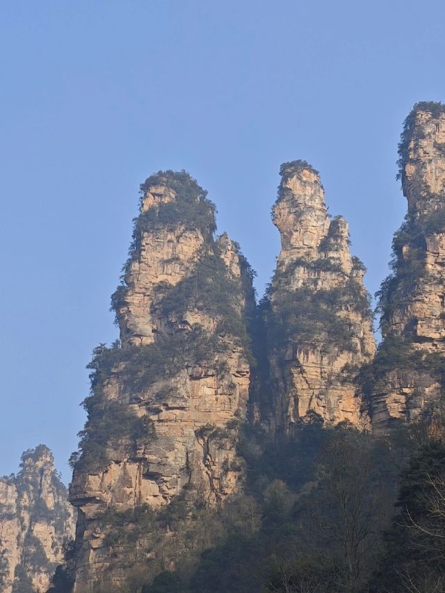 寒假老友相約張家界-天門山-湘西旅遊正當時