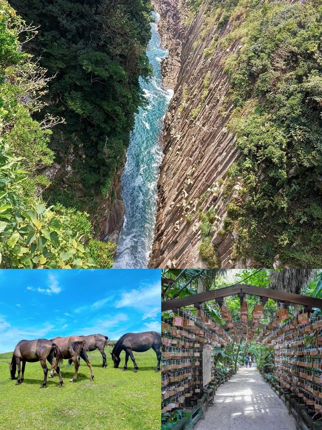 日本宮崎