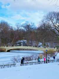 雪後的中央公園太美啦——附公園遊玩最佳路線