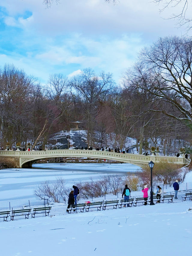 雪後的中央公園太美啦——附公園遊玩最佳路線