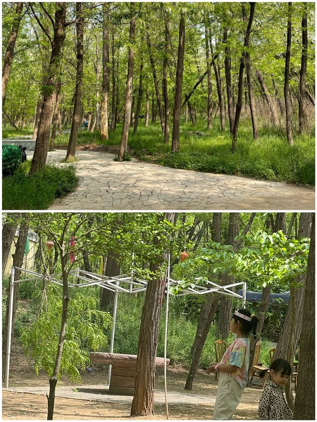 許昌 |‌曹丞相府1天遊純玩路線推薦，保姆級攻略
