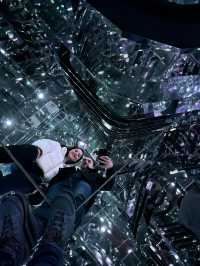 🎇A Digital Wonderland in Tokyo (TeamLab Borderless) 🎨    