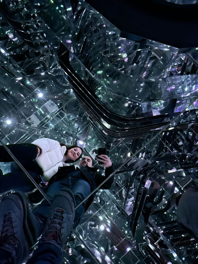 🎇A Digital Wonderland in Tokyo (TeamLab Borderless) 🎨    