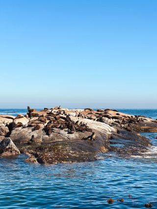 10-Day South Africa Tour: The Perfect Time to Travel During Qingming
