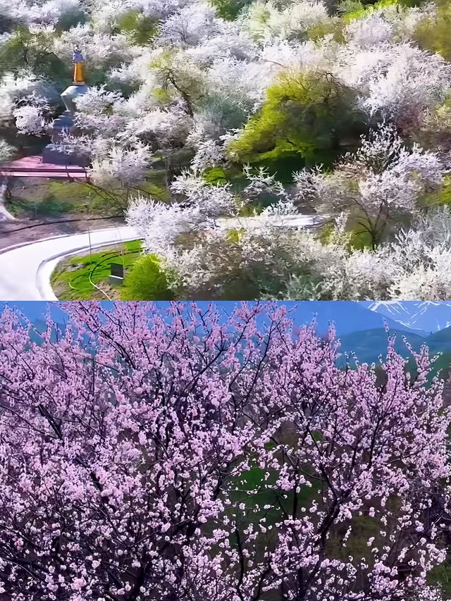 新疆伊犁，3-5月真的不建議去，因為...