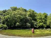 探索德島綠肺：中央公園，城市中的自然樂園！