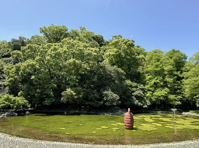 探索德島綠肺：中央公園，城市中的自然樂園！