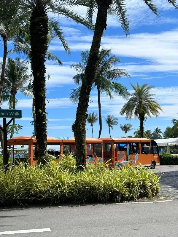 How to Spend a Day in Sentosa Without Staying Overnight