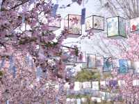 南京這個免費公園才是春日賞花天花板吧！
