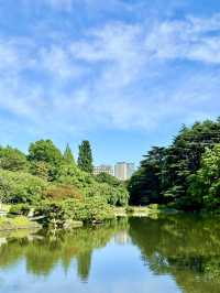 四季之美：新宿御苑的自然詩篇與都市魅力